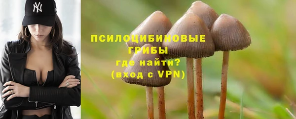 спайс Лабытнанги