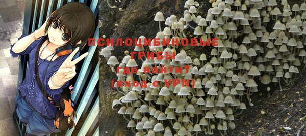 спайс Лабытнанги