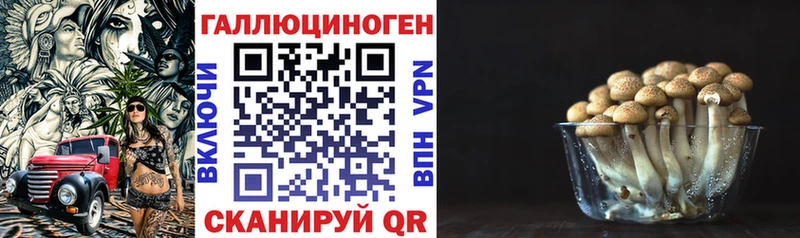 Псилоцибиновые грибы мухоморы  Сусуман 